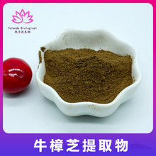 牛樟芝牛樟菇原料粉/多糖（醣）类/三萜类/植物提取物 厂家直供