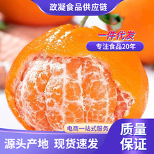 �Ĵ��ҰҸ� ���l3/9����������ٮ��������֭���rˮ���ǹ�����