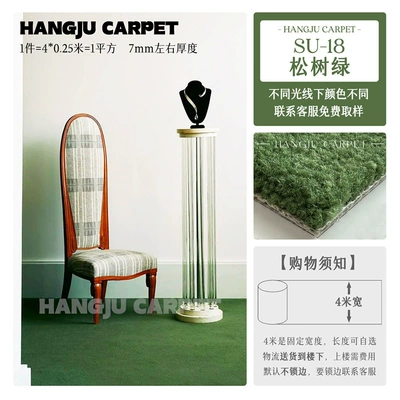 Room, Home, Live Streaming Room, Car Carpet - plain-18-pine-green