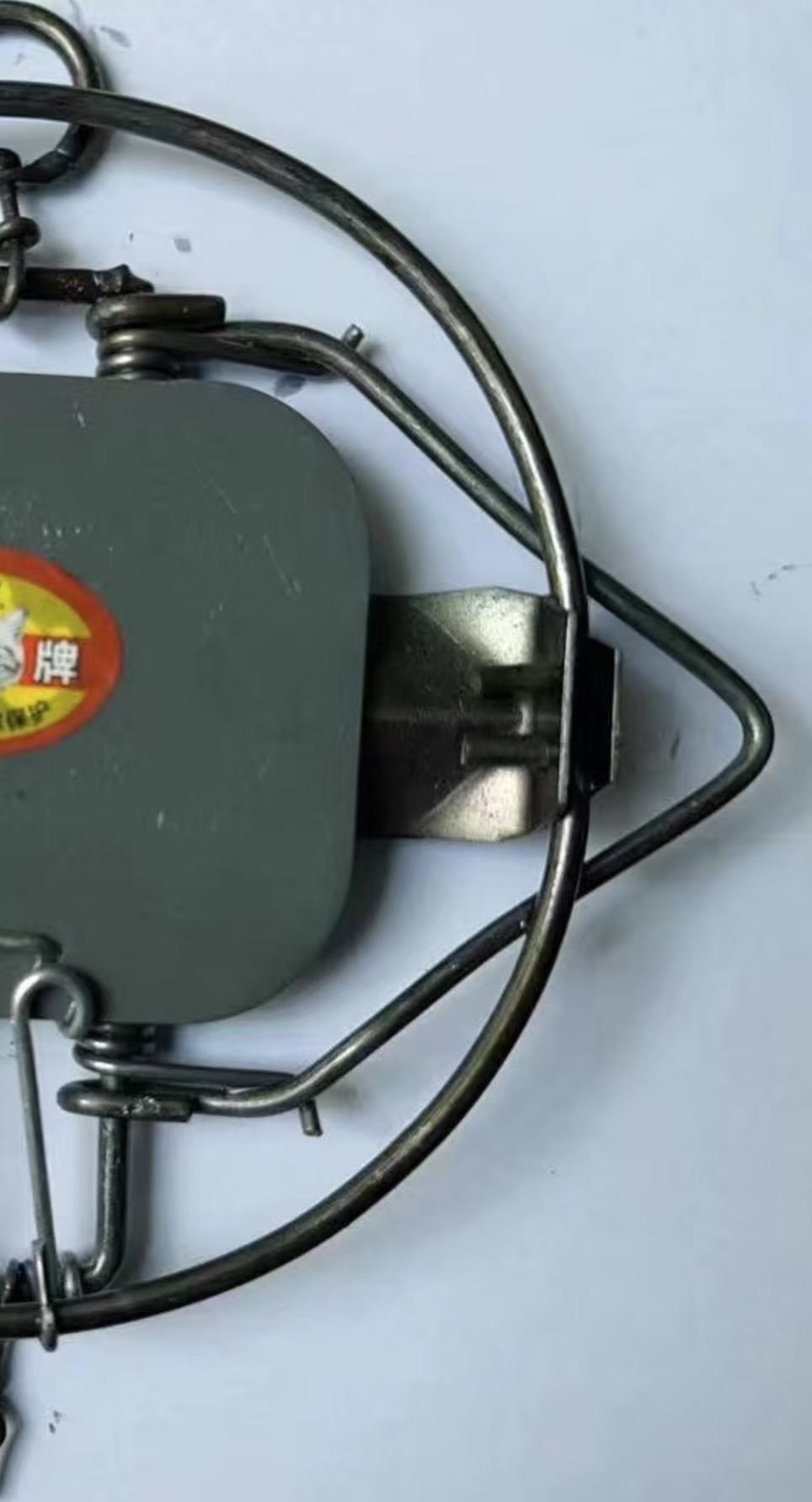 微信图片_20250108122100