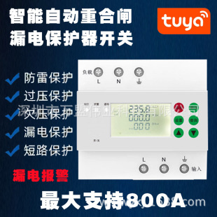 Graffiti Smart WIFI Immersion Anti-leakage Protector Reclosing Overvoltage Short Circuit Undervoltage Lightning Protection Overload Circuit Breaker