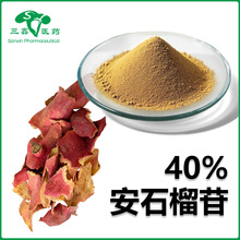 ��ʯ����40% ʯ��Ƥ��ȡ��Punicalagin��ʯ��߰65995-63-3