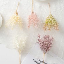 ����q�ǲ�ֲ�� �Ҿ��b�С��������Yϲ�Ǻ��b�DIY����������l