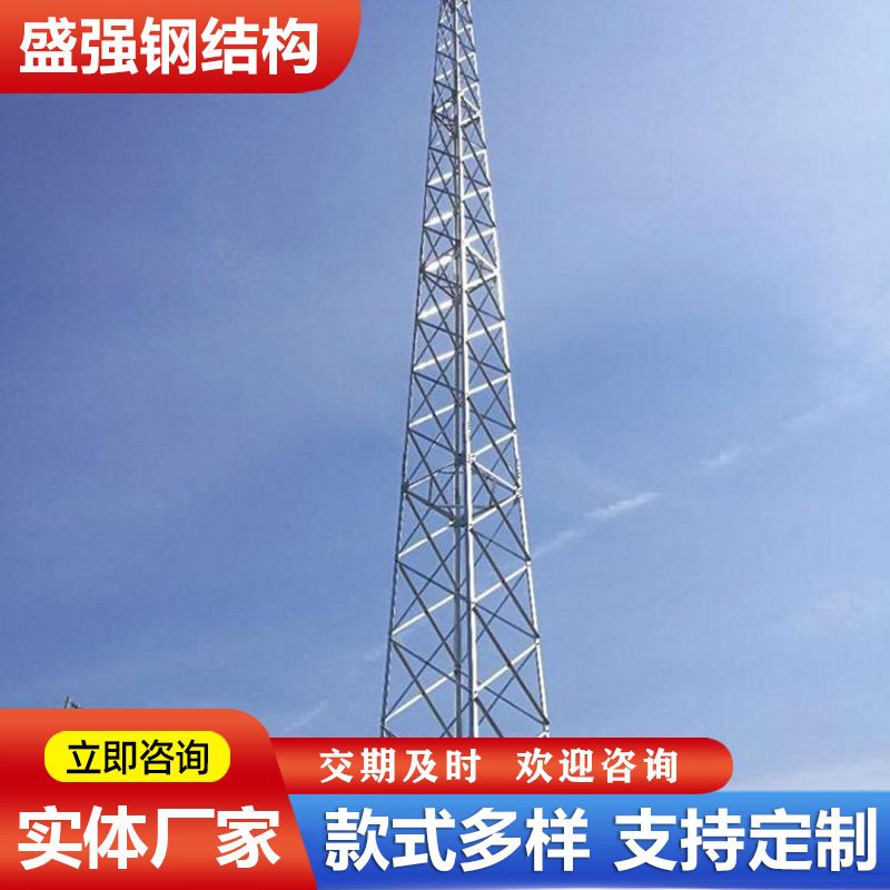 角钢避雷针 拉线避雷针多种避雷塔厂家生产