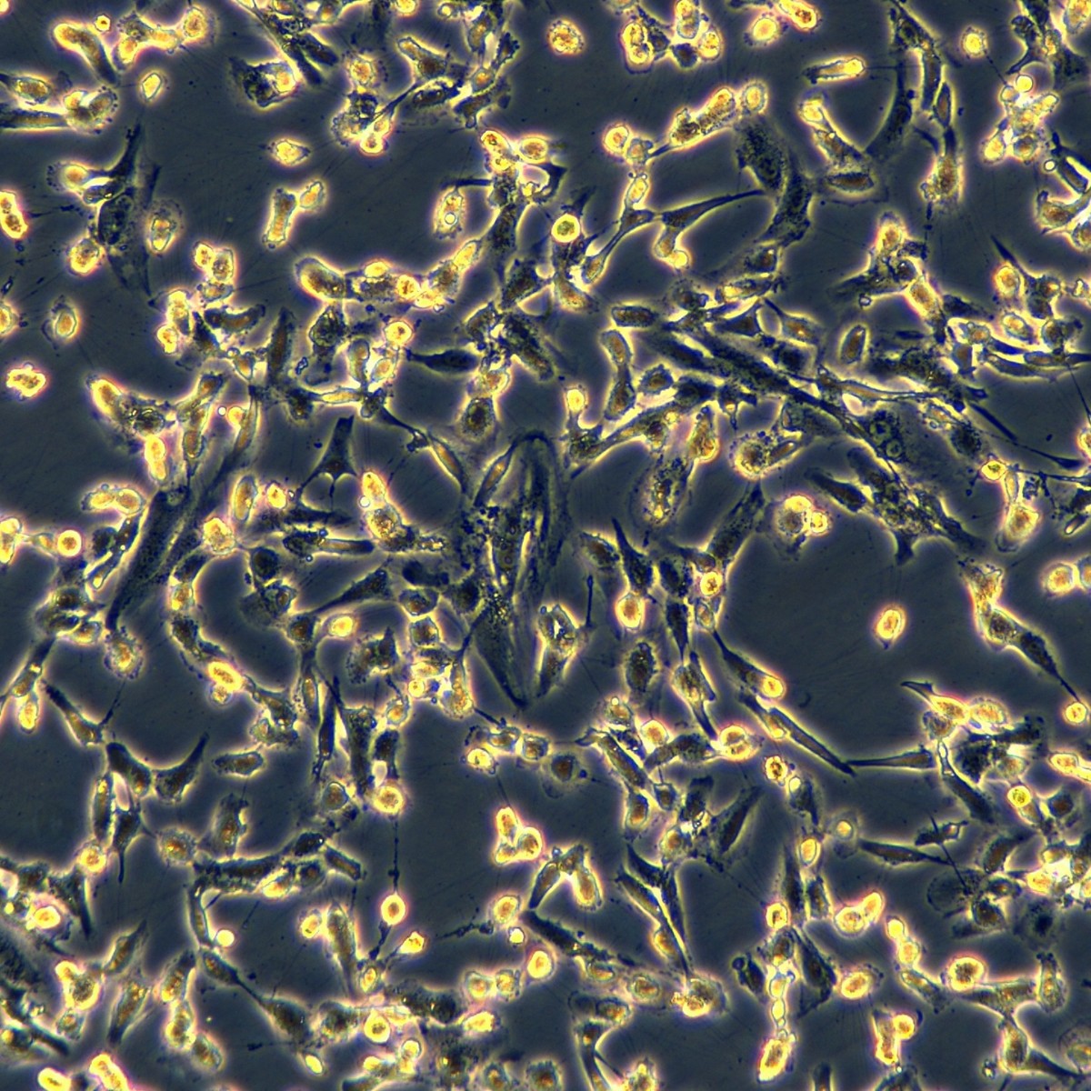 2025-11-05 15:15:44.jpg