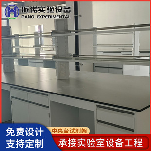 Central Table Reagent Rack Physical and Chemical Laboratory Experimental Table Sink Table Experimental Table Reagent Rack Operating Table