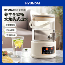�n��HYUNDAI�B����������๦�ܼ��ô������ӟᱣ�ػ����