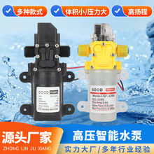 洗车器水泵电动隔膜泵12v高压洗车机电动喷雾器配件大功率水泵