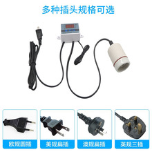 �W�^�������r�B���B�������B�B��ů��С�͐a���������r�ؿ������^