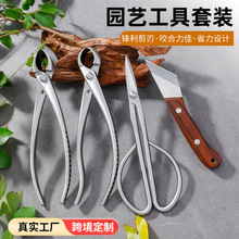 跨境盆景工具套装球节剪斜球剪盆栽一体叶芽剪园艺专用修枝树瘤节