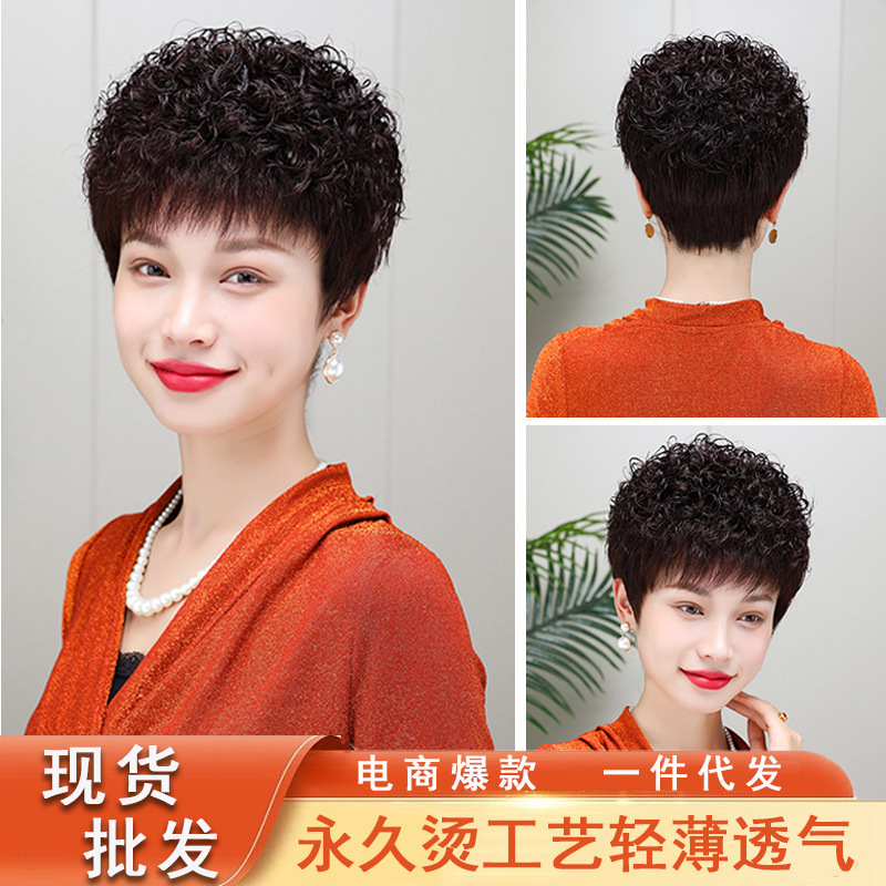 Real Hair Wig for Women, Full Headgear for Mothers, Factory Wholesale, Fashionable Short Curly Hair for Middle-Aged and Elderly People, Permanent Perm Fake Full Hair Cover
