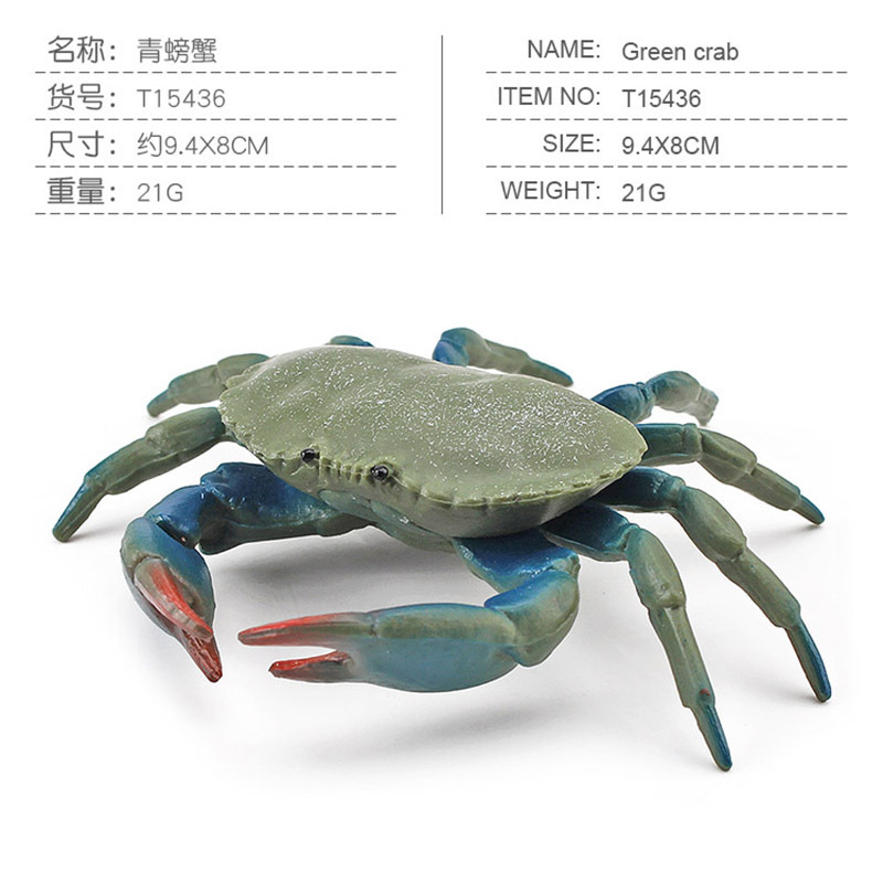 Simulación modelo de cangrejo animal marino laminado pan al vapor cangrejo verde escritorio estática cognitiva adornos de exportación transfronteriza