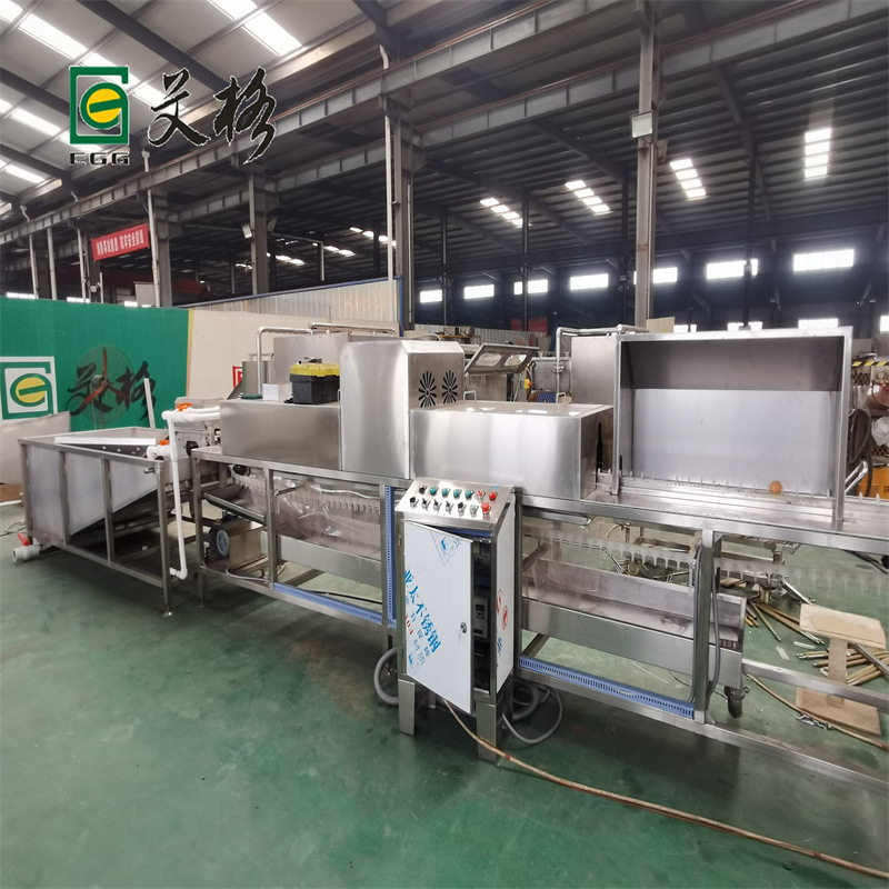 诸城小型电动洗蛋机带烘干价格   艾格鸭蛋洗蛋机销量好厂家直营