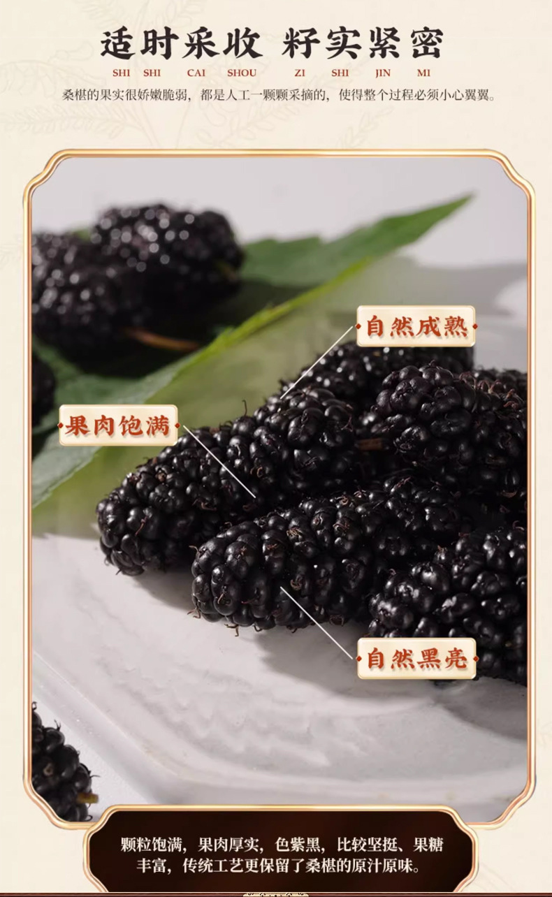 Dried Mulberry Fruit Sang Shen Zi 500g Washed Seedless Herbal Tea and Wine Ingredient preparation