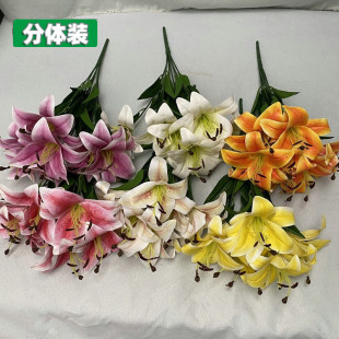 3D���7�^���m�ٻ� 7�^�ٺϷ��滨 ��c�Ҿ��b[���������컨