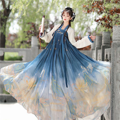 Tang Dynasty Hanfu Fairy dress for women  hanfu super fairy ancient printing embroidery double-breasted chest Ru skirt suit elegant ancient costume