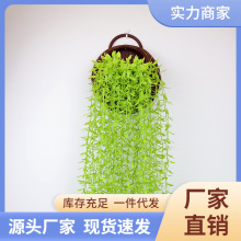 �羳�����ٗlֲ����R�d�^�����������~����Gֲ�ڒ촹����픗l