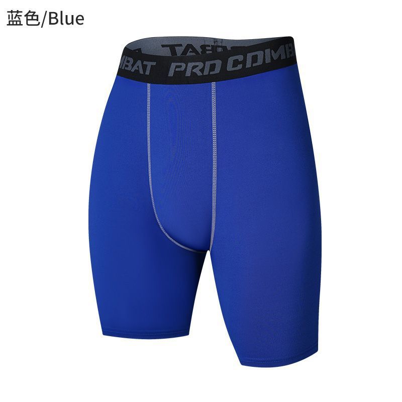 파란색 회색 라인