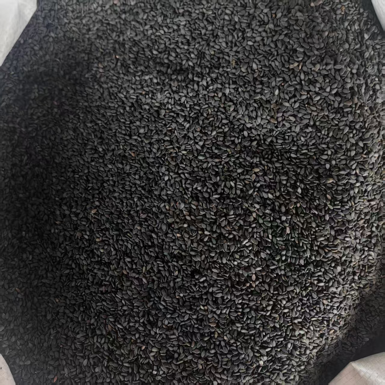 Black Sesame Seeds Hei Zhi Ma 500g Ready to Eat Plump Dried Seeds quality and texture