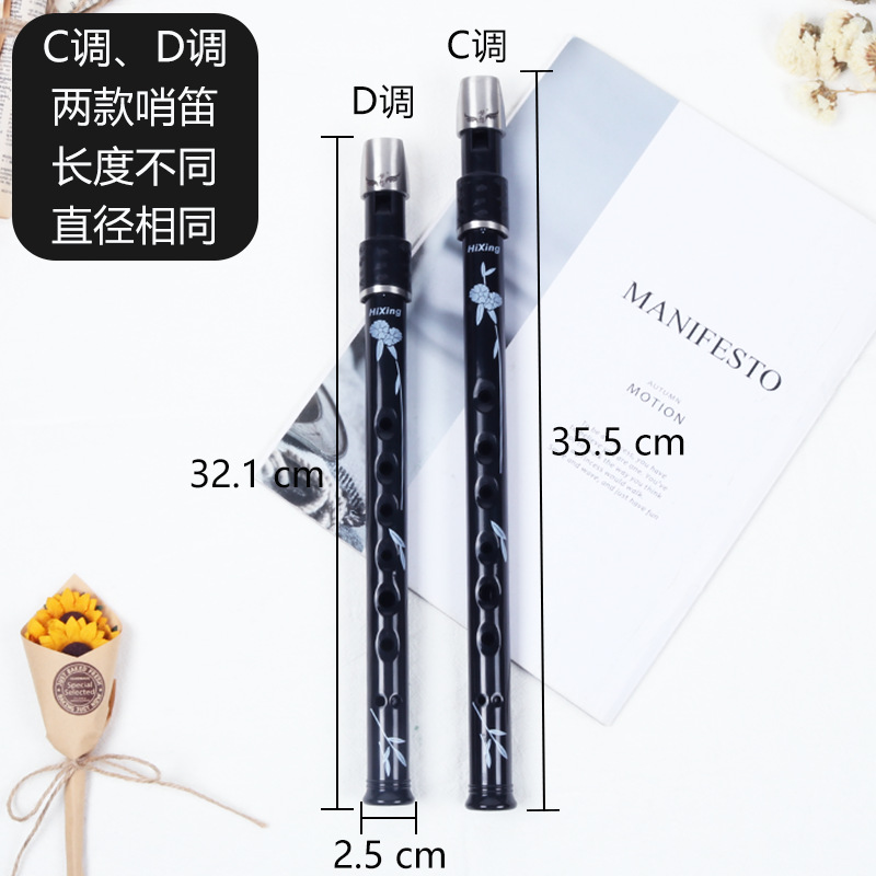 Dream Irish whistle-D tune