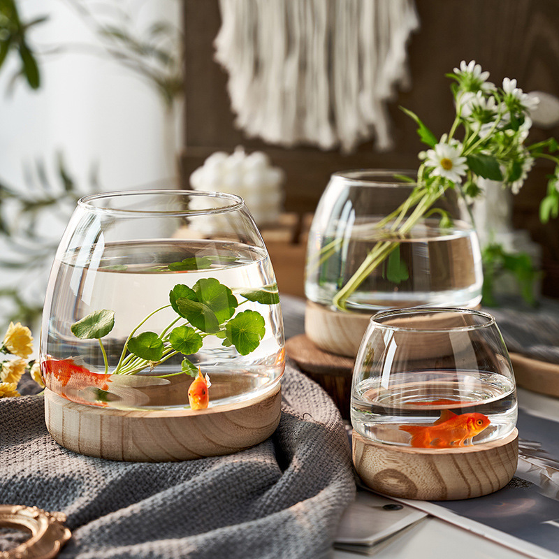 Internet celebrity Japanese vase transparent glass living room flower arrangement ornaments water culture pothos copper money grass desktop ecological fish tank