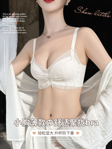 Underwear for women with small breasts, push-up and enlargement, adjustable, wire-free, secondary breasts, anti-sagging, thin bra for autumn and winter