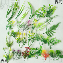 ����r�������c�Y�廨�ٻ�����ˮ���ȼ�����c��ˇֲ�ԣ��