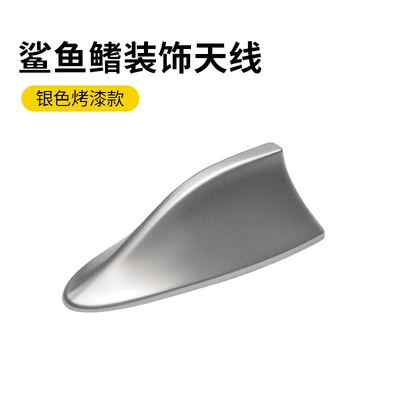 Wing Modification Accessories, vehicle antenna - silver-spray-paint-box