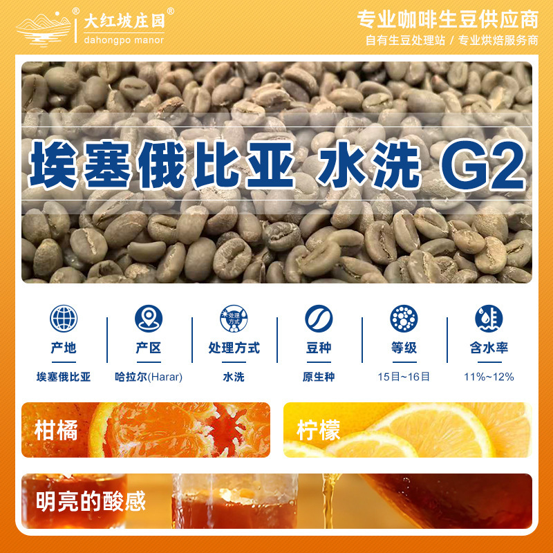Ethiopian G2 Native Coffee Raw Beans Washed and Processed Small Inventory Imported Coffee Raw Beans Wholesale