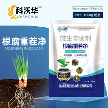 �����A�����ز���ݲ�ѿ�ߗU����������������ή���ز�΢�������