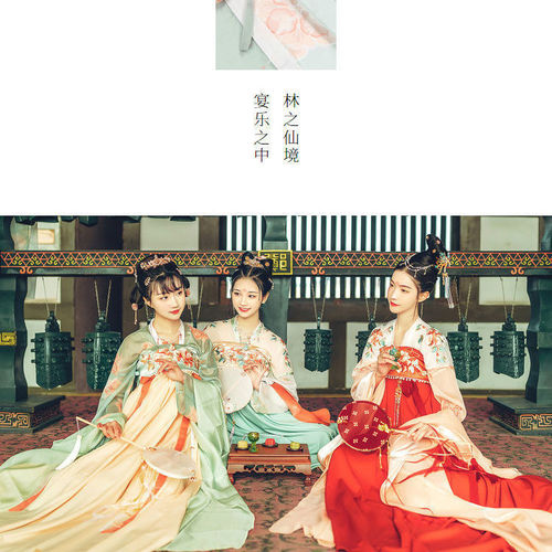 Adult Hanfu fairy dress for women Chinese traditional folk costumes photos shooting film cosplay gown Breasted skirt Chinese style student fairy costumes