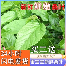 �Q�������b�Fժ���rɣ�~��С�Q��ɣ�~�r���Q�����Q����όW���B�Q