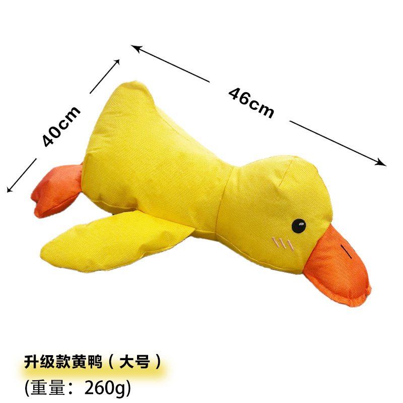 옥스포드 충전 오리