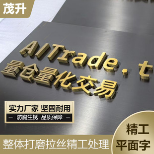 Precision Stainless Steel Brushed Solid Electroplated Black Titanium Lettering Painted Electroplated Metal Lettering Outdoor Door Sign