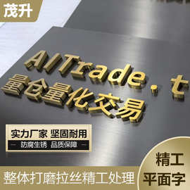 精工不锈钢拉丝实心电镀黑钛金字烤漆电镀金属字户外门头招牌
