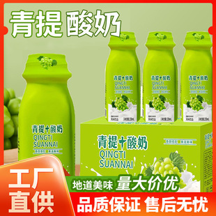 [Internet Celebrity New Product] Qingti Yogurt 220ml*10 Bottles of Nutritious Breakfast Flavor Super Delicious and Greasy-Relieving Beverage