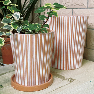 ���ջ���͹Ÿ��t��͸���ڏ��t�������fͥԺ�Ϙ��Gֲ���s���l