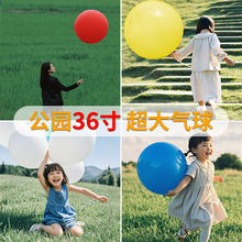 �������Ӻ�36���̖�������z��ͯ���⹫�@�ݵ�Ұ�Ͳ�ƺ�������