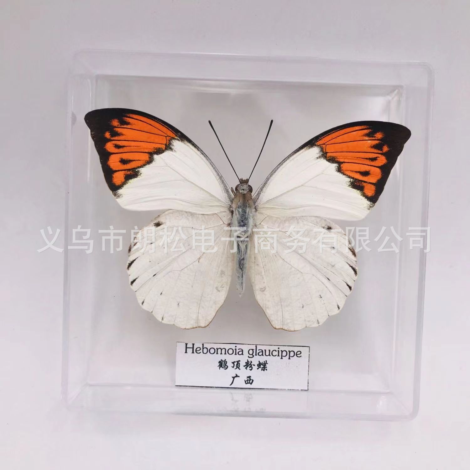 3aecea940d244bccfb859137af7762