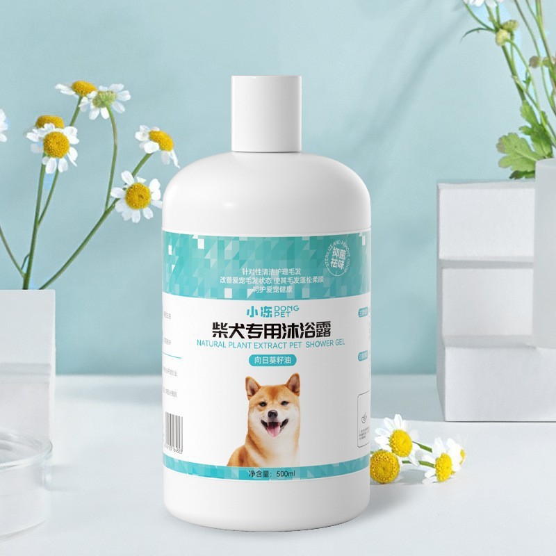 시바견을 위한 특별함