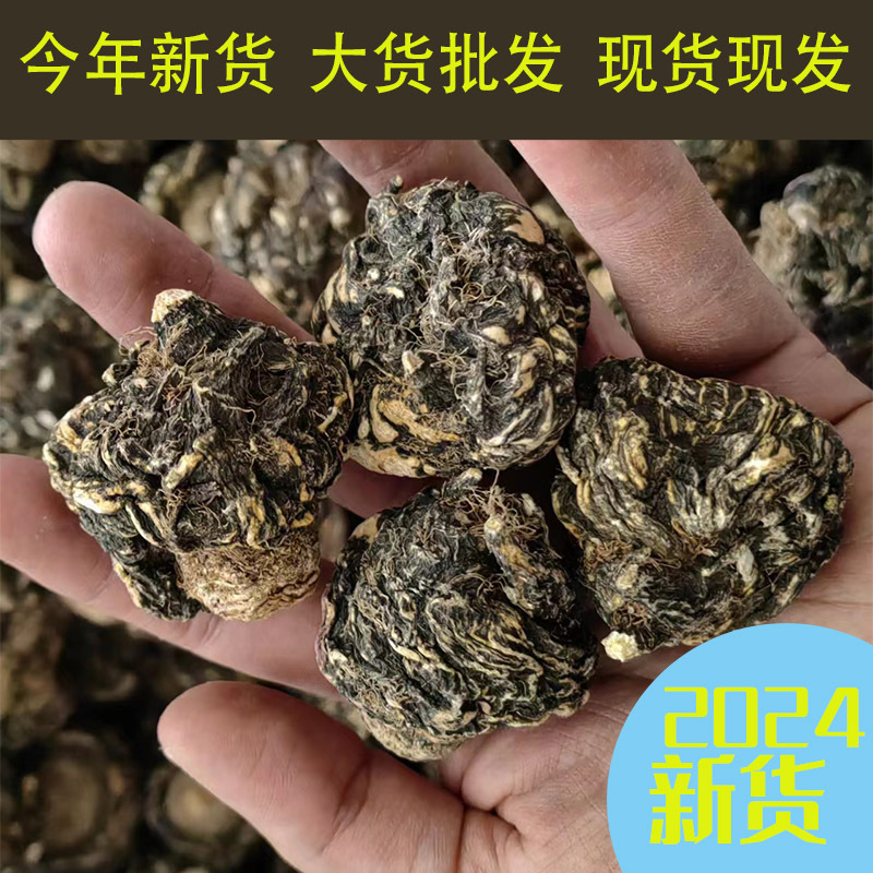 云南丽江黑玛卡干果今年新货大货批发 黑玛咖果心白 各种规格现货