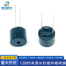12*9.5mm ����3V5V12V24V �ų�20mm ��Դ��� 12095˫���������