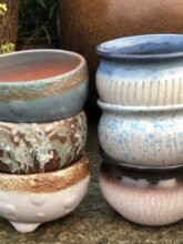 �ֹ����ՈA���ڶ��⻨����ׯ����Ⱥ������ɰ�չ��մ�ֲ�ﻨ����