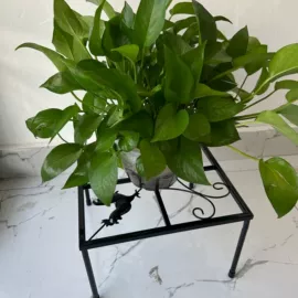 金属工艺品;壁挂、壁饰;收纳架