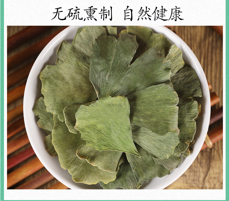 Premium Dried Ginkgo Leaf Ye Xing Ye Loose Herbal Tea 500g for Daily Infusions in use