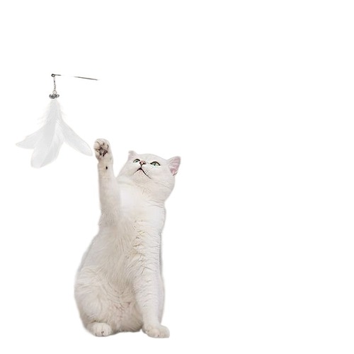 Bite-resistant and durable long pole with feather bell to entertain cats and relieve boredom. Cats play with cat toys by themselves.