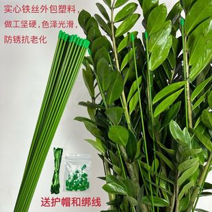 ���X��֧�ΗUֲ��̶��������ټ��̨����֧�܈@ˇ��������֧�μ�