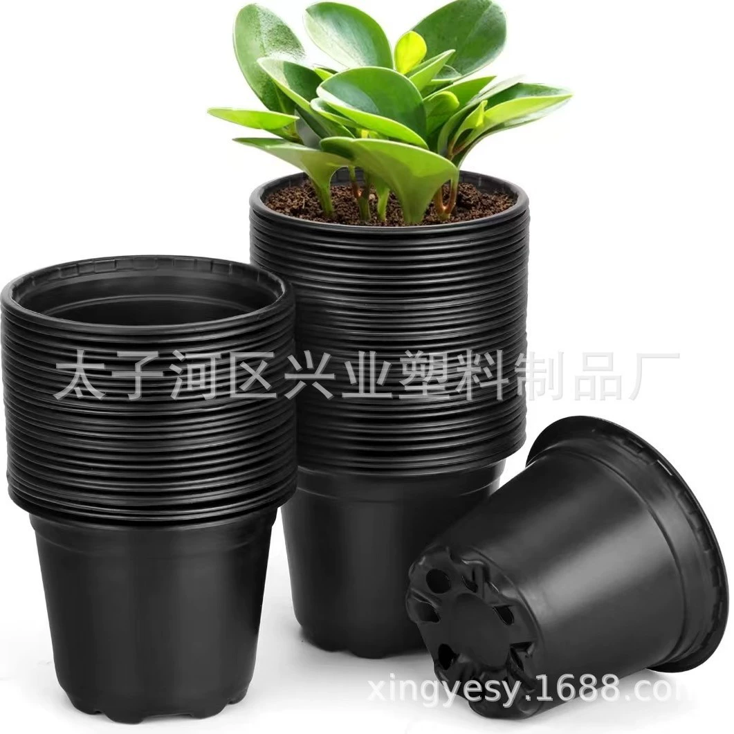 Черные одноразовые пластиковые горшки для рассады и цветов Amazon