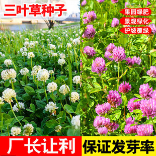 ���~�ݷN�ӾG�ʰ����~�t���~�������\���ļ������o�¾G����ƺ�N��