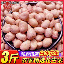 净重5斤河南新粉红皮花生仁农家白沙花生米五谷杂粮原味生花生豆